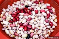 Budget-Friendly Vegetable Seeds: Smart Tips for Buying on a Budget