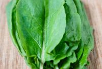 50 Delicious Ways to Cook with Fresh Sorrel