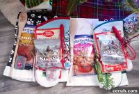 Cozy Christmas Kitchen Gifts: Festive Oven Mitts Guide