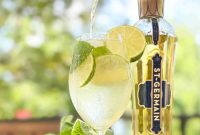 How to Make a Hugo Spritz: Classic Elderflower Cocktail Recipe