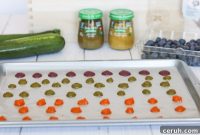 Frozen Baby Food Dots: Simple Frozen Puree Portions for Babies