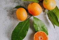 Plant-Based Collagen Boosters: Vegan Sources & Benefits