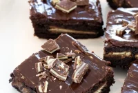 Andes Mint Brownie Recipe with Chocolate Mint Chips
