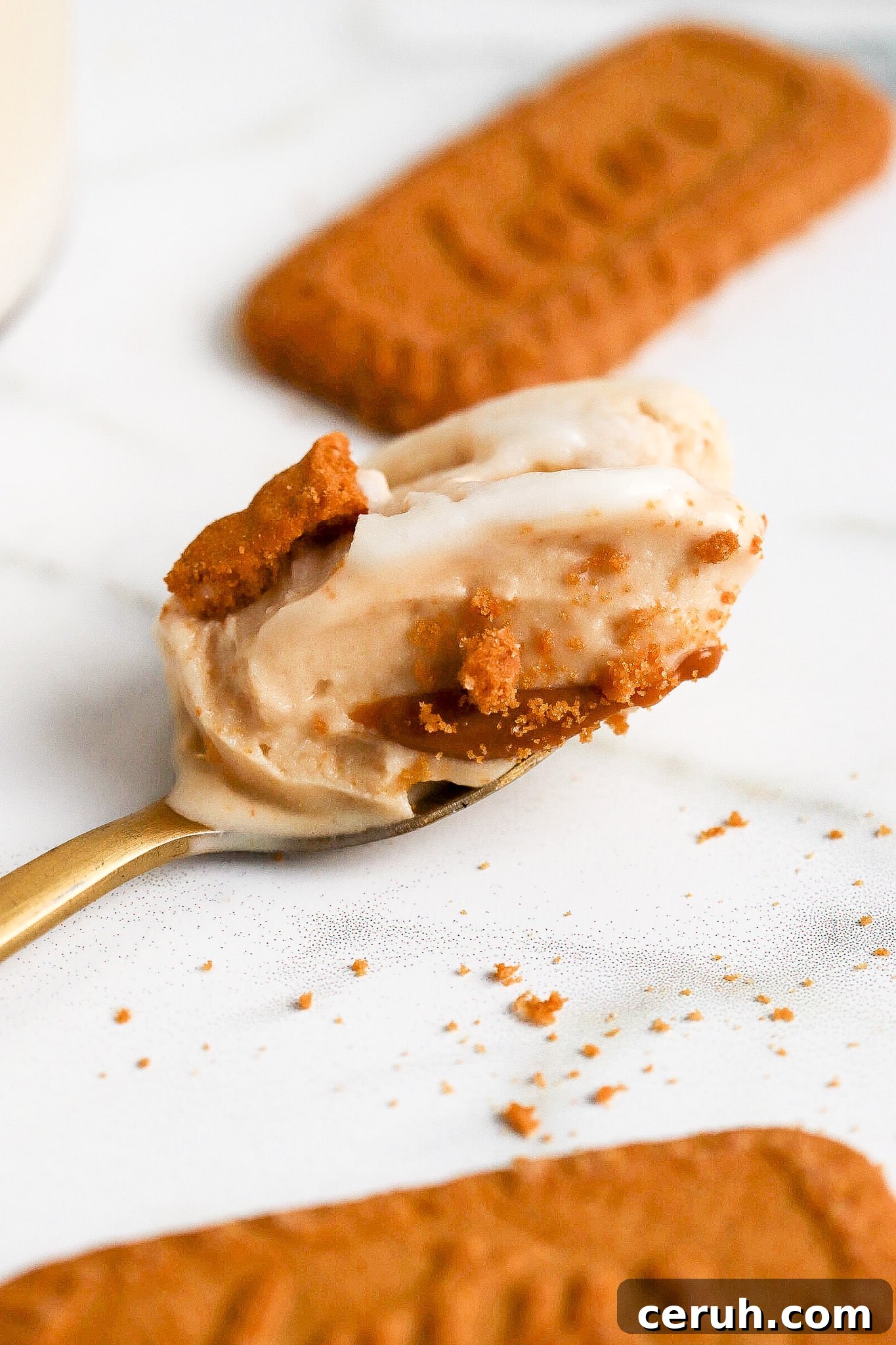 spoonful of protein ice cream with biscoff cookie in background