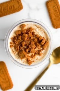 top down view of ninja creams biscoff protein ice cream with biscoff cookies on top