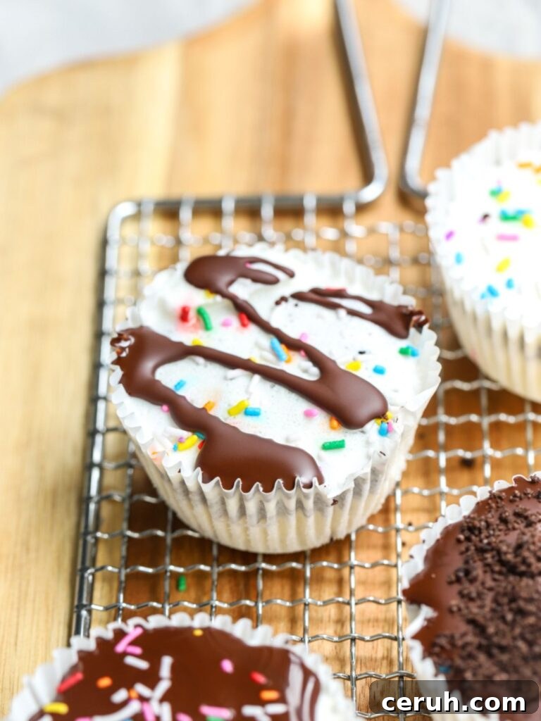 Mini ice cream cakes with sprinkles and chocolate
