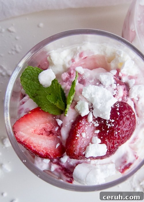 Serving of Eton Mess garnished with mint