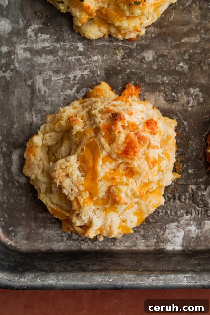 easy-cheddar-bay-biscuits