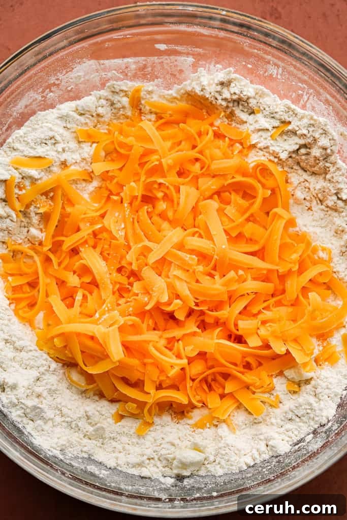 cheddar mixed with dry ingredients in a bowl