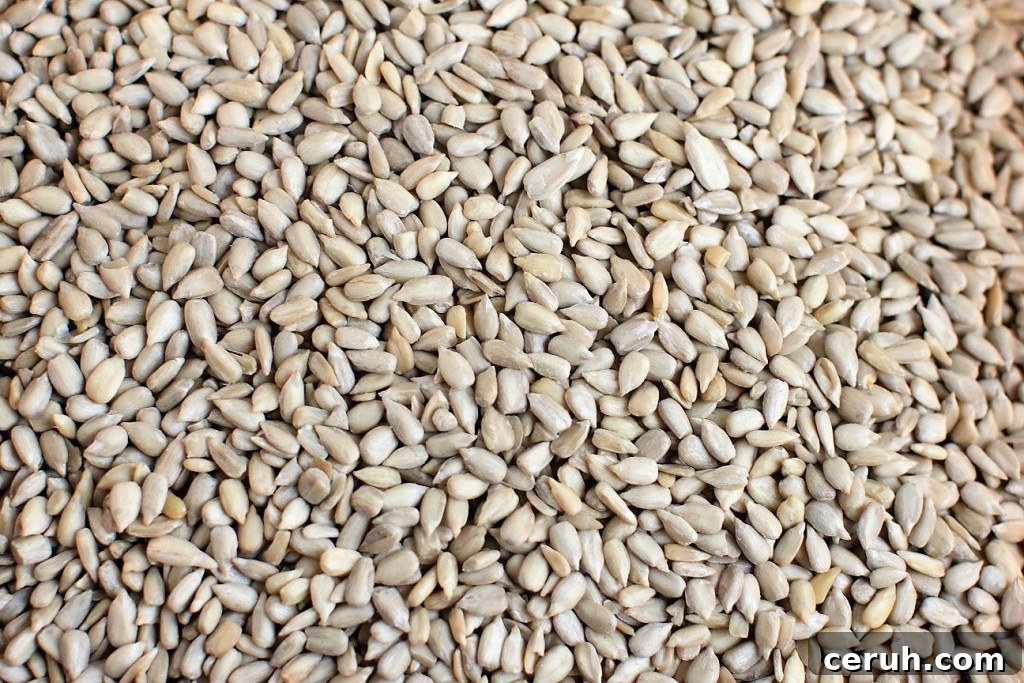 sunflower seeds for blender brownies