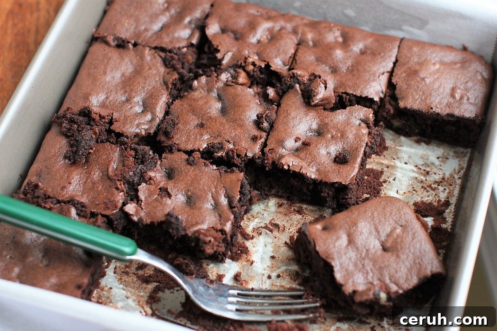 pan full of sunflower blender brownies