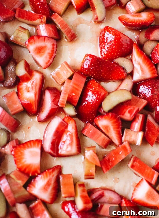 strawberry and rhubarb
