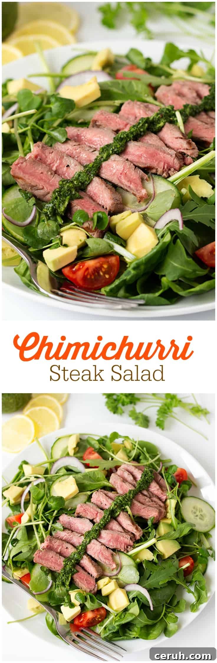 Chimichurri Steak Salad Recipe - A lighter version of your favorite steak dinner! This chumichurri recipe is so easy and goes great as a sauce or a dressing.