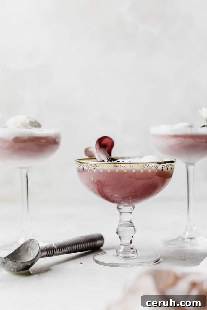Hibiscus Ice Cream Float | thealmondeater.com