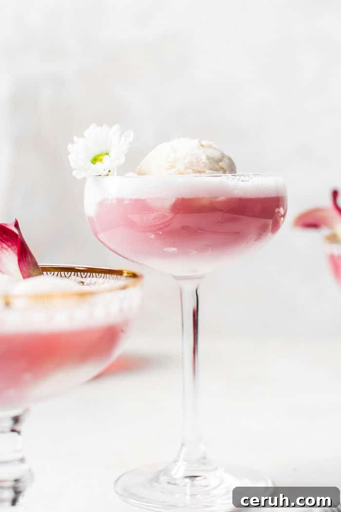 Hibiscus Ice Cream Float | thealmondeater.com