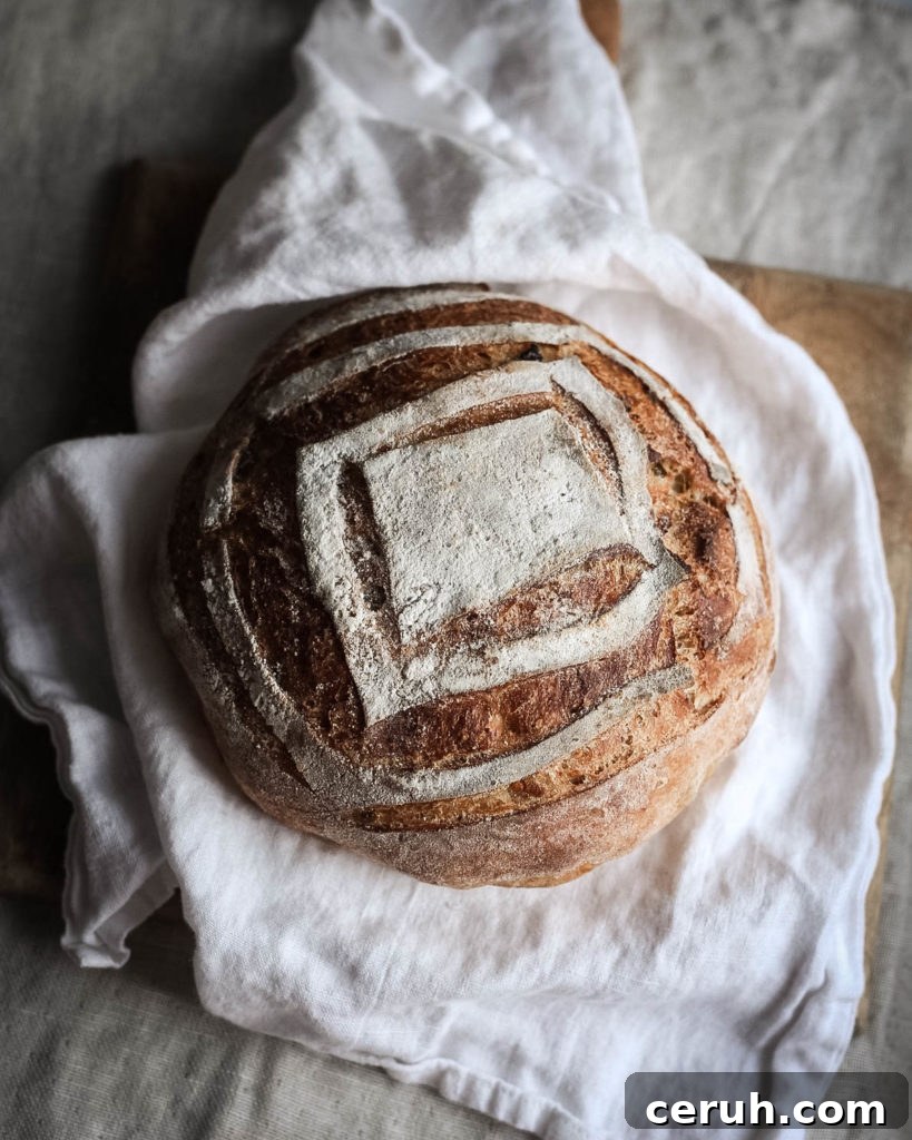 sourdough discard loaf with cornmeal, cheddar, and jalapeno