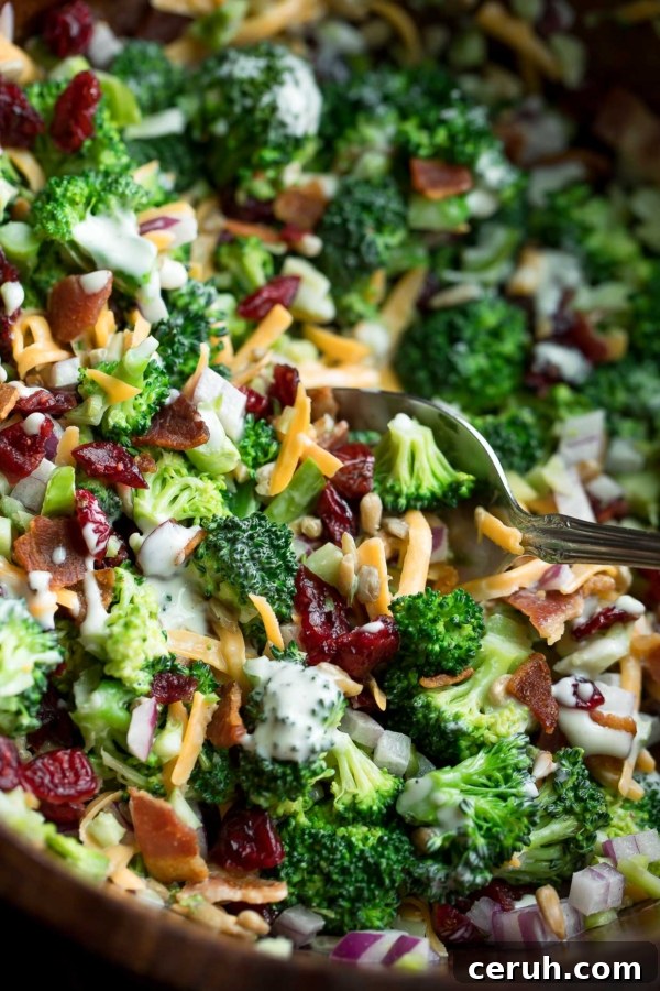 Classic Broccoli Salad with Cranberries and Bacon