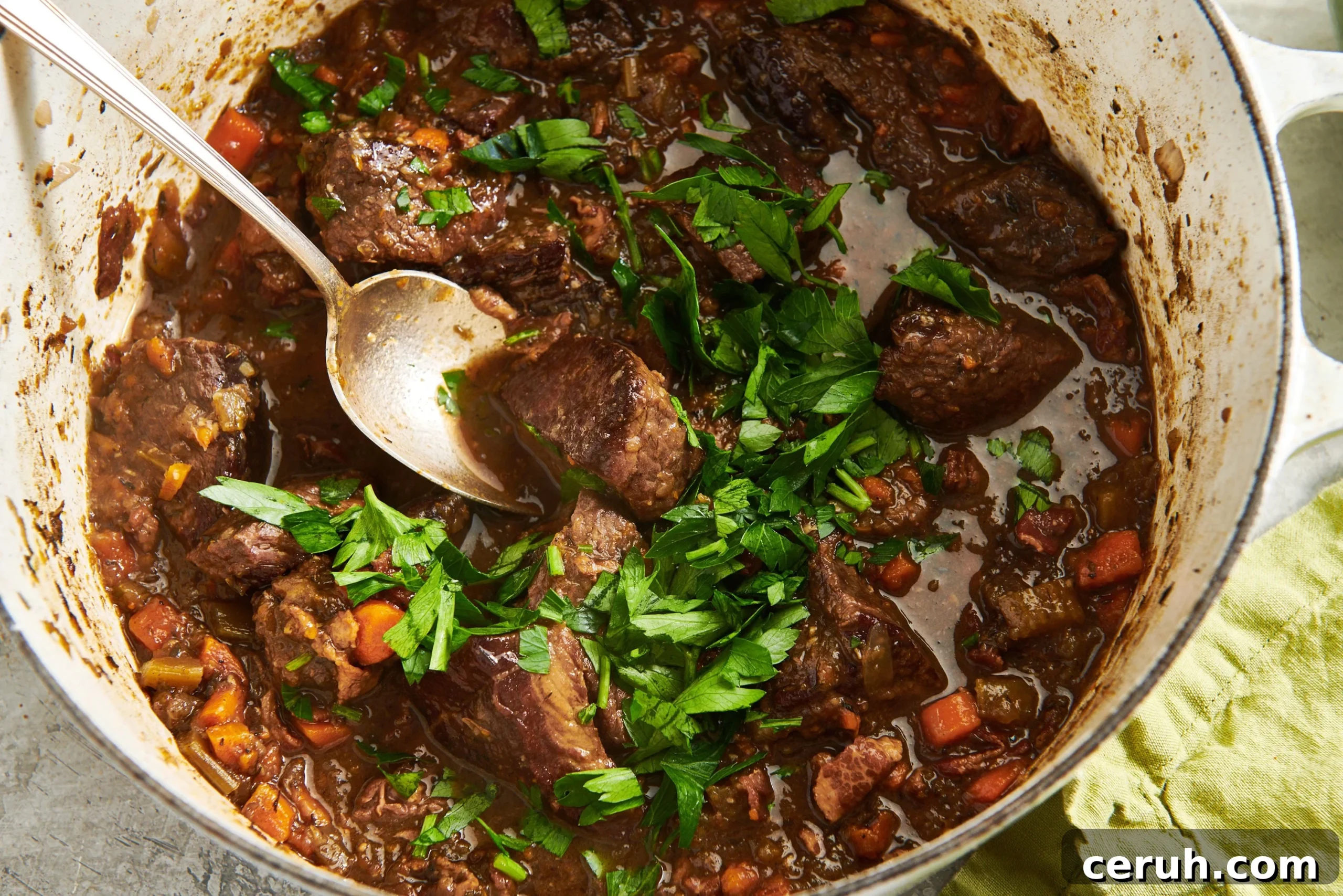 Spoon in a Dutch Oven of Beef Stew.