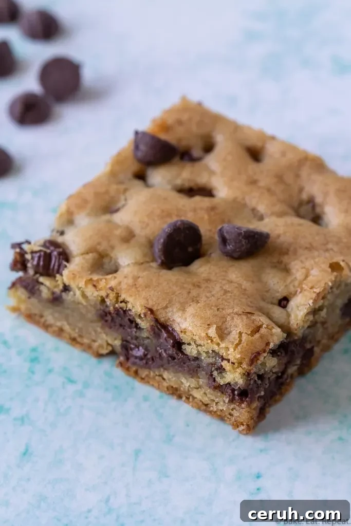 soft and chewy chocolate chip cookie bars