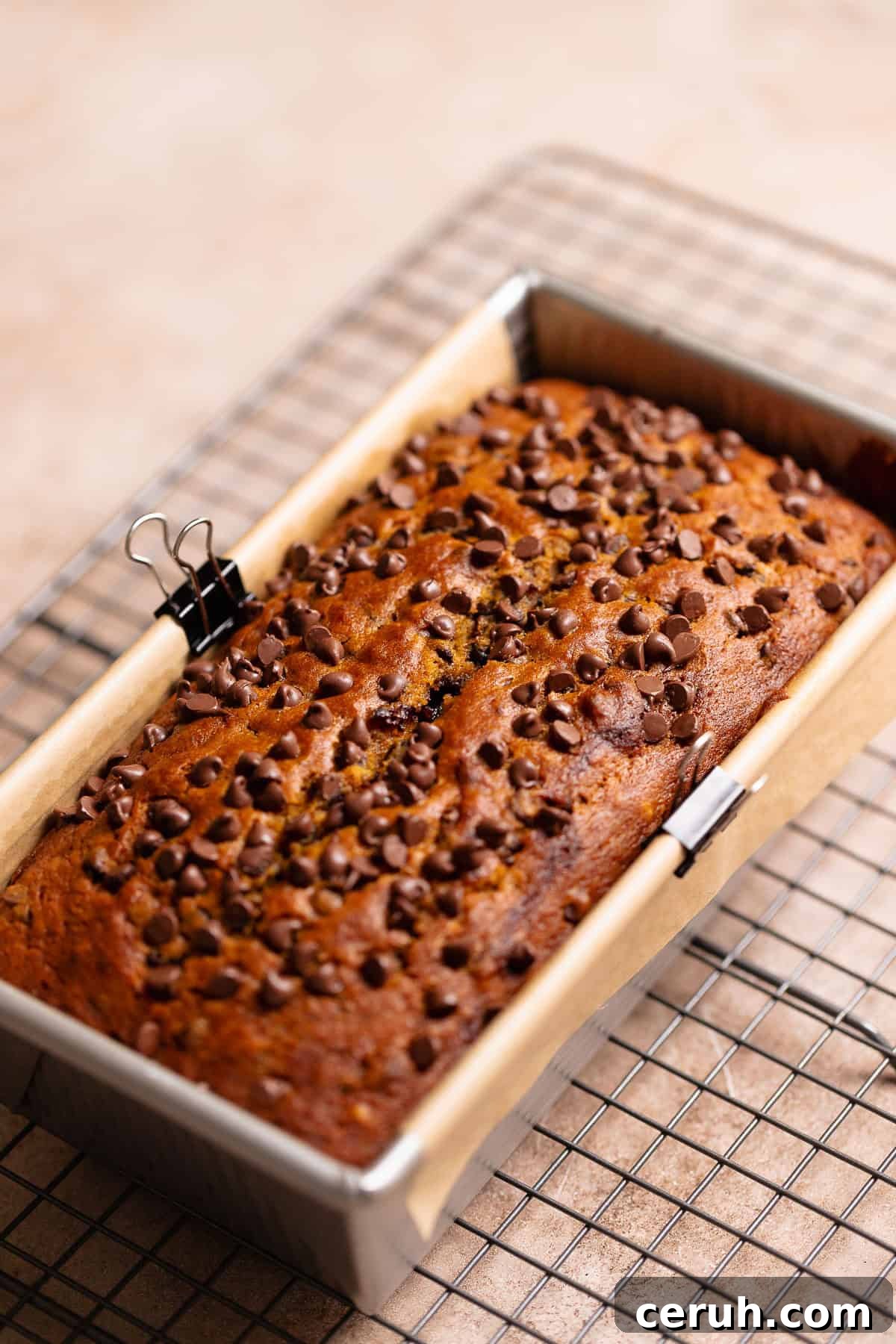 The baked chocolate pumpkin bread resting on a wire rack.