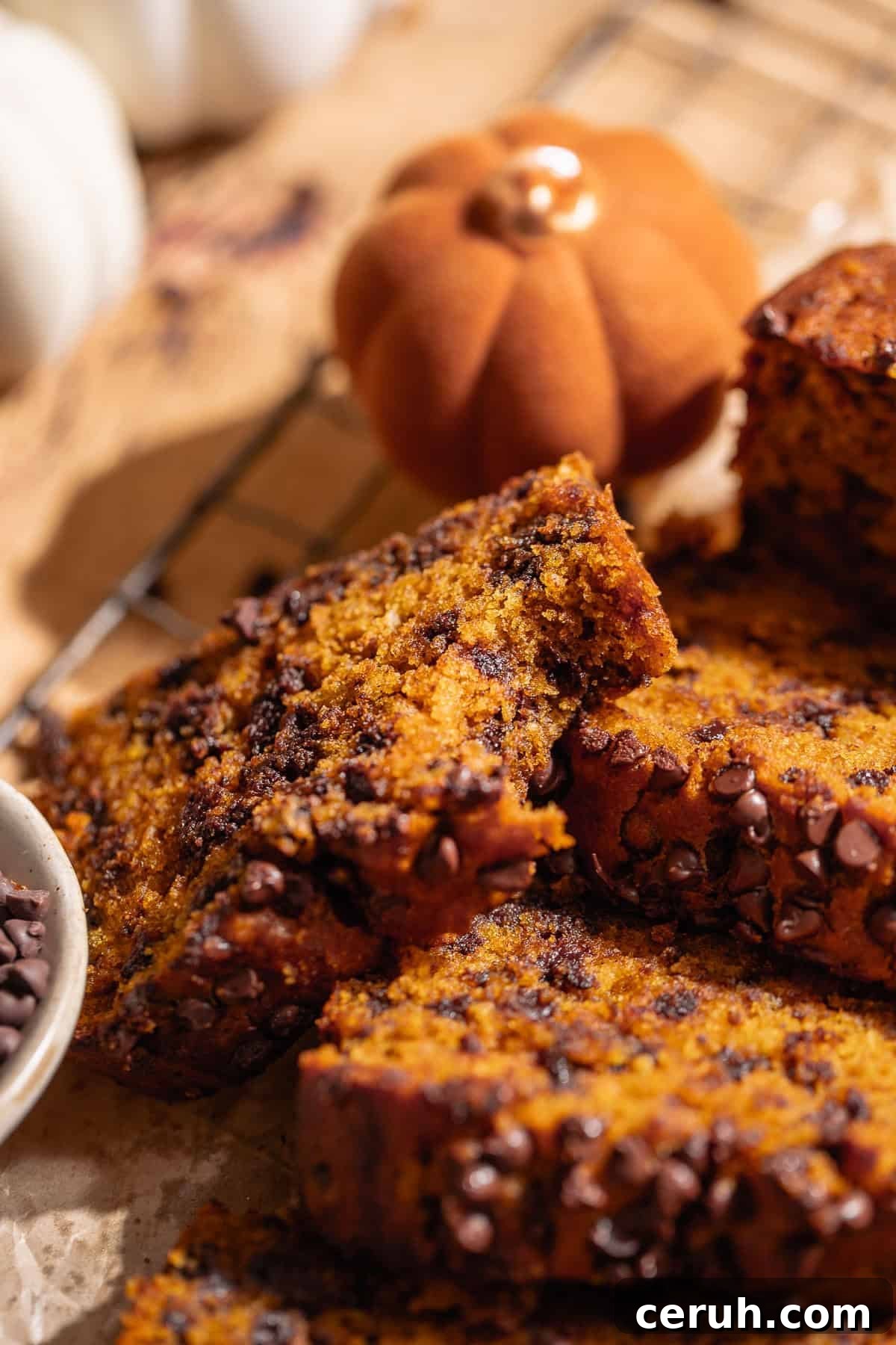 A slice of chocolate pumpkin loaf with a bite taken out of it.