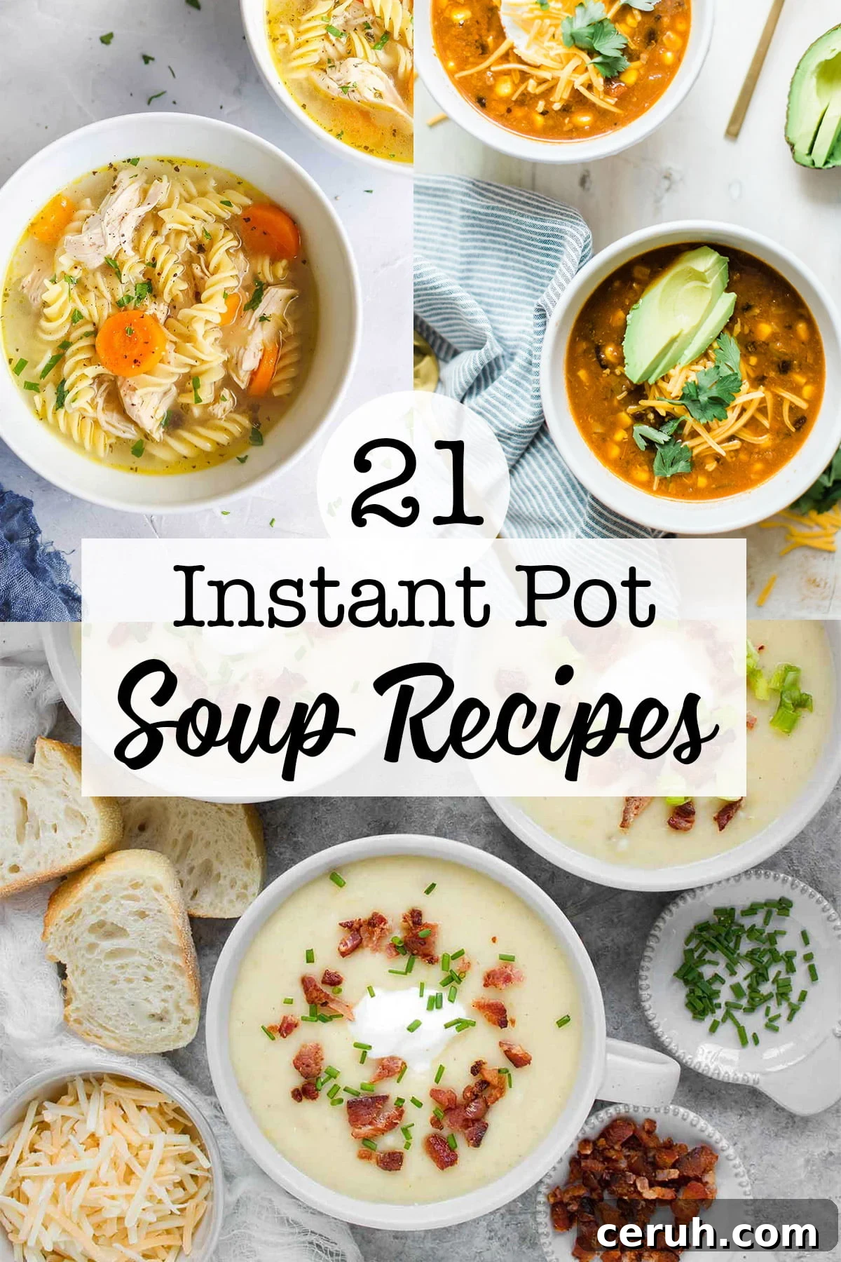 Soup Recipes