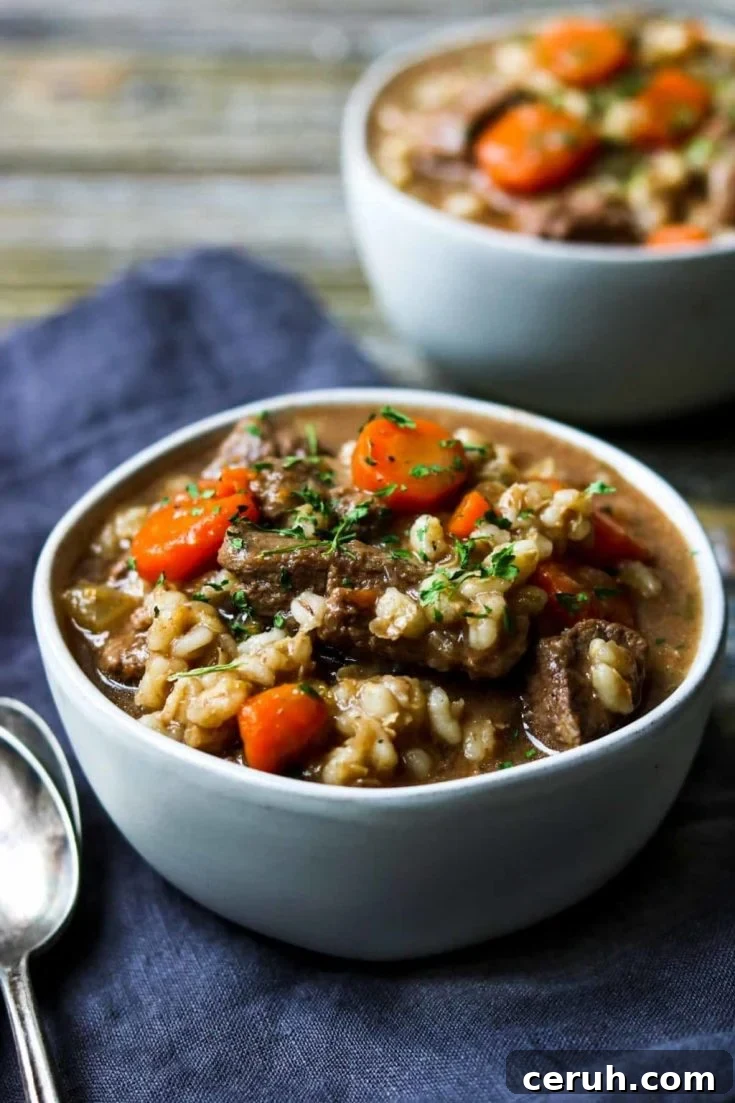 Beef & barley stew
