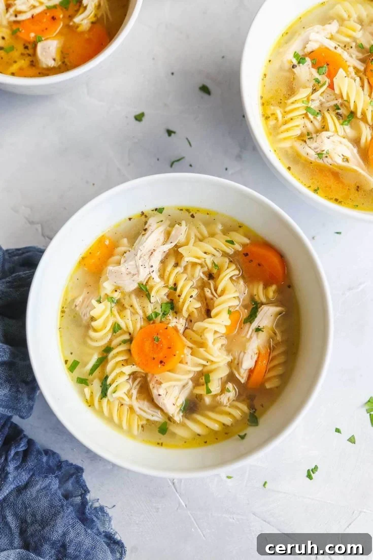 Chicken noodle soup