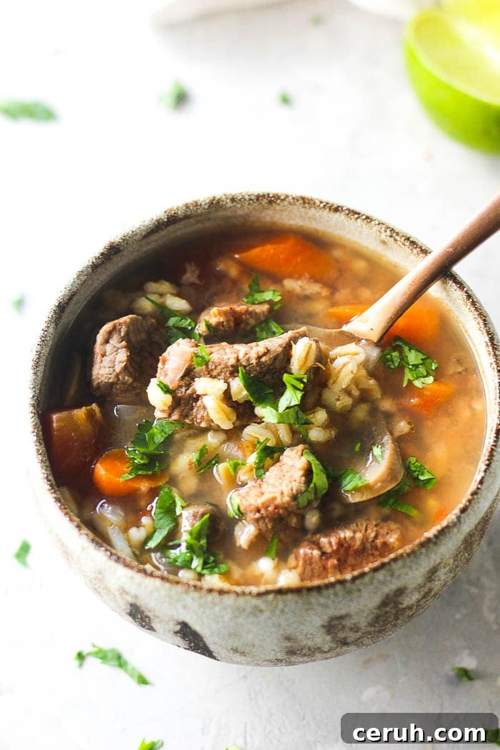 Beef and barley soup