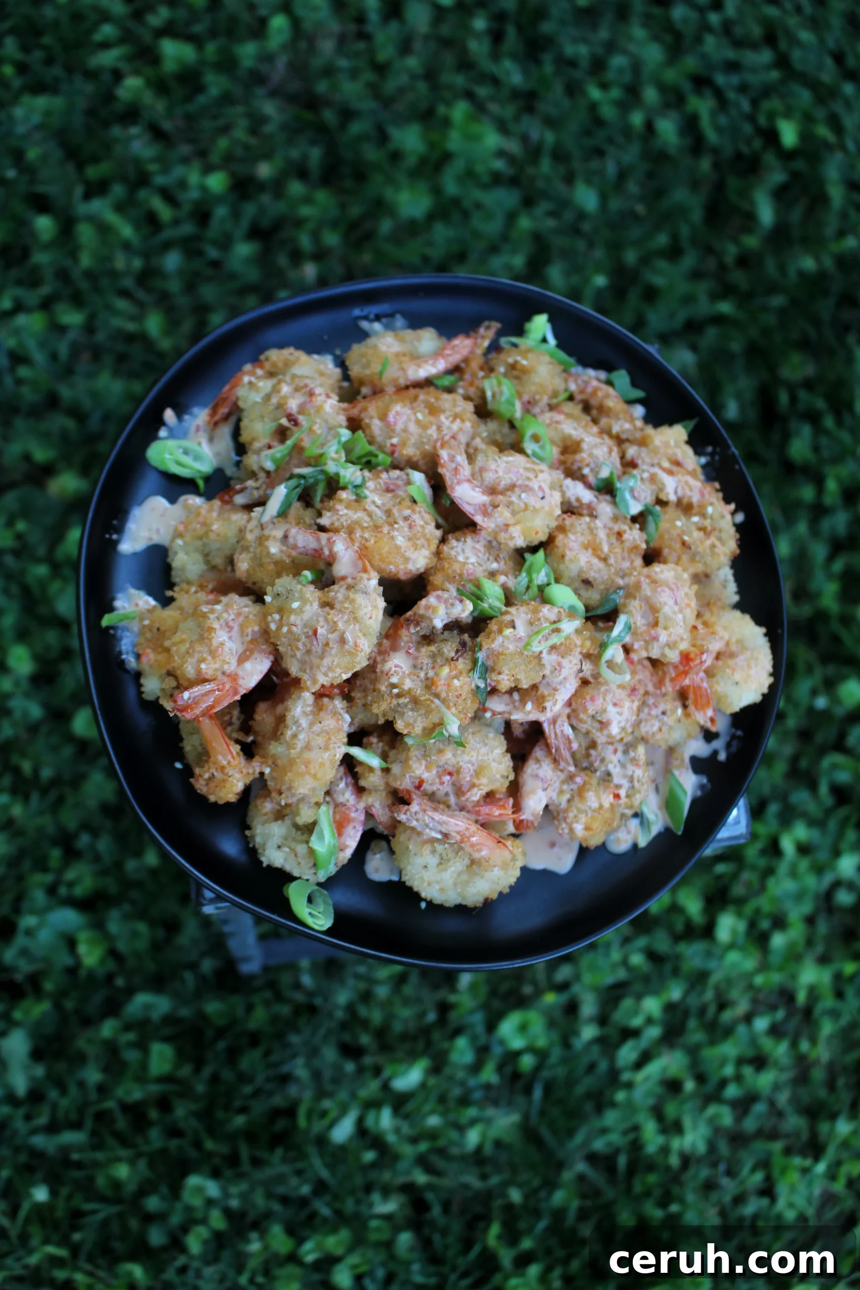 An overhead shot of the finished dish so you can see it drizzled in bang bang sauce and garnished with scallions.