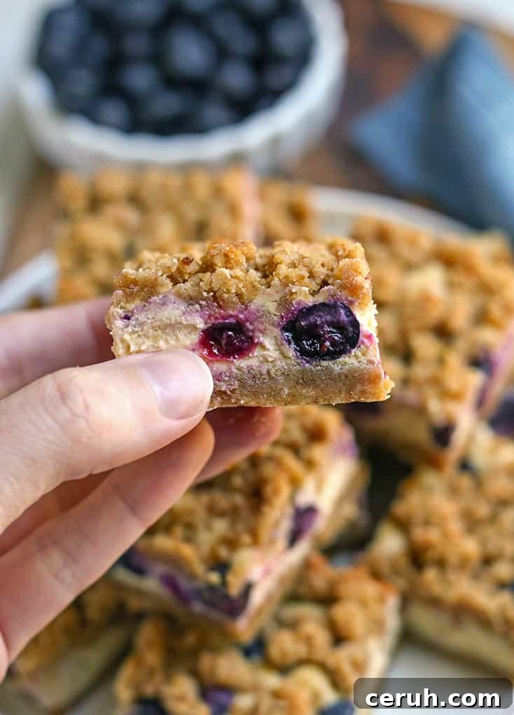 hand holding a grain free blueberry cheesecake bar