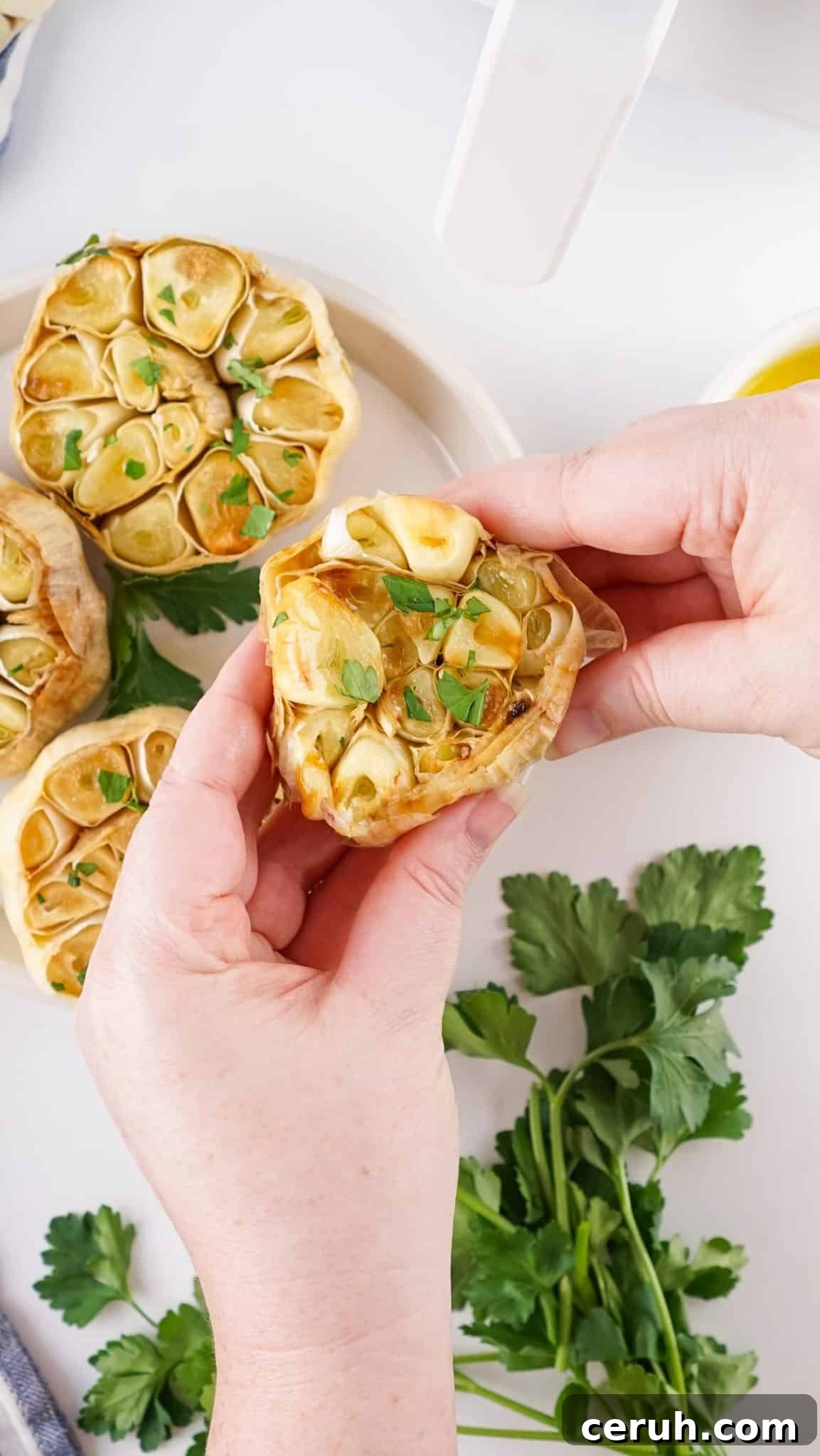 a hand squeezing roasted garlic cloves out of a bulb
