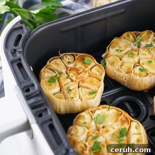 roasted garlic cloves in the basket of an air fryer