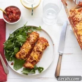 Spicy Chicken and Black Bean Enchiladas