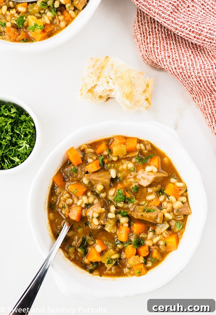 Bowl of Beef Barley Soup.