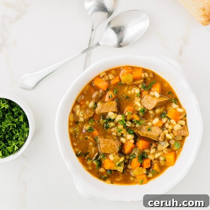 Bowl of beef barley soup.