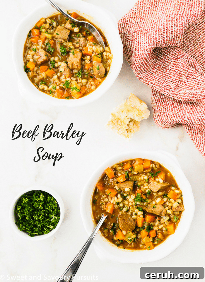 Beef Barley Soup served in two white bowls.