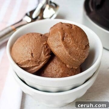 Ninja Creami Chocolate Protein Ice Cream
