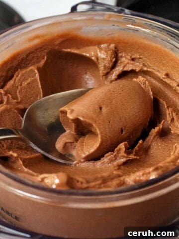 Chocolate ice cream in a Ninja Creami pint