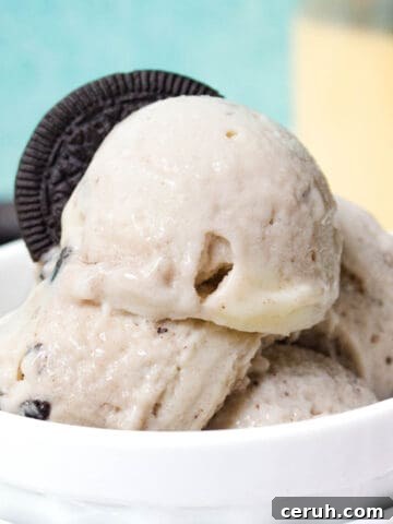 Ninja Creami Oreo Protein Ice Cream