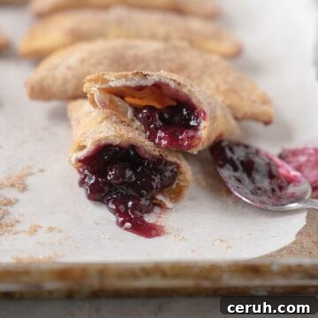 Mixed Berry Hand Pies