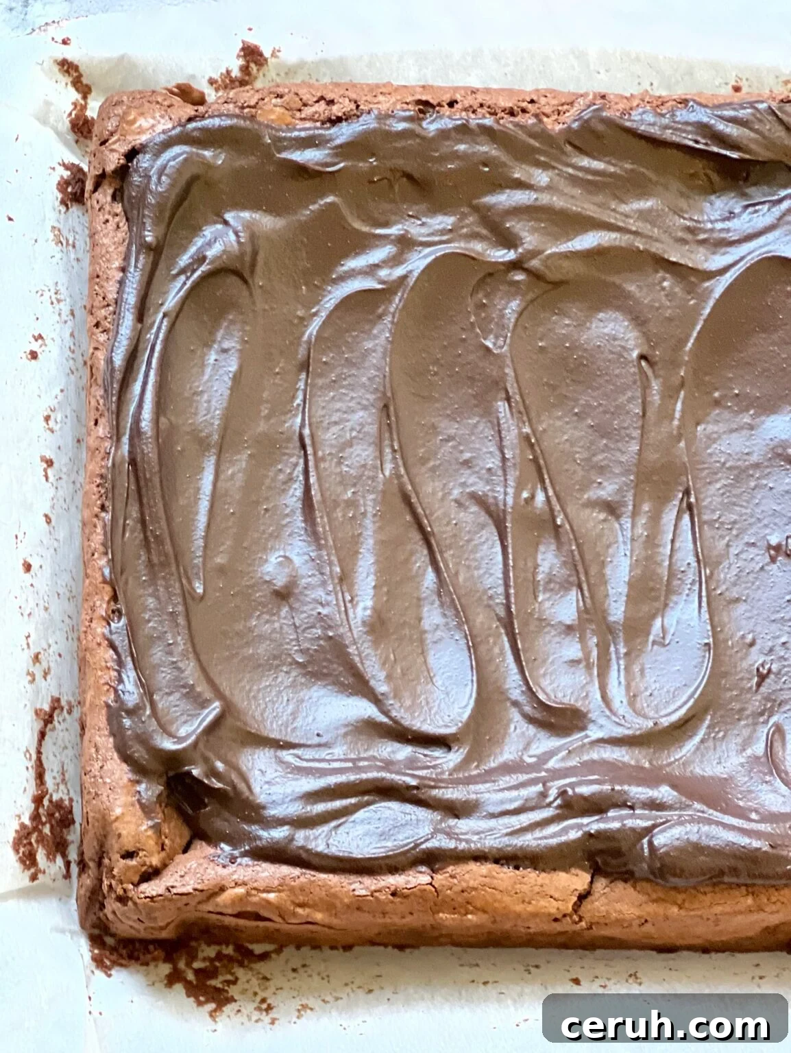 A close up shot shows an uncut pan of brownies frosted with chocolate frosting.