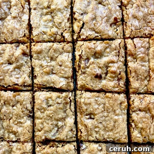 Sourdough blondies cut into squares with a soft chewy texture and golden top.