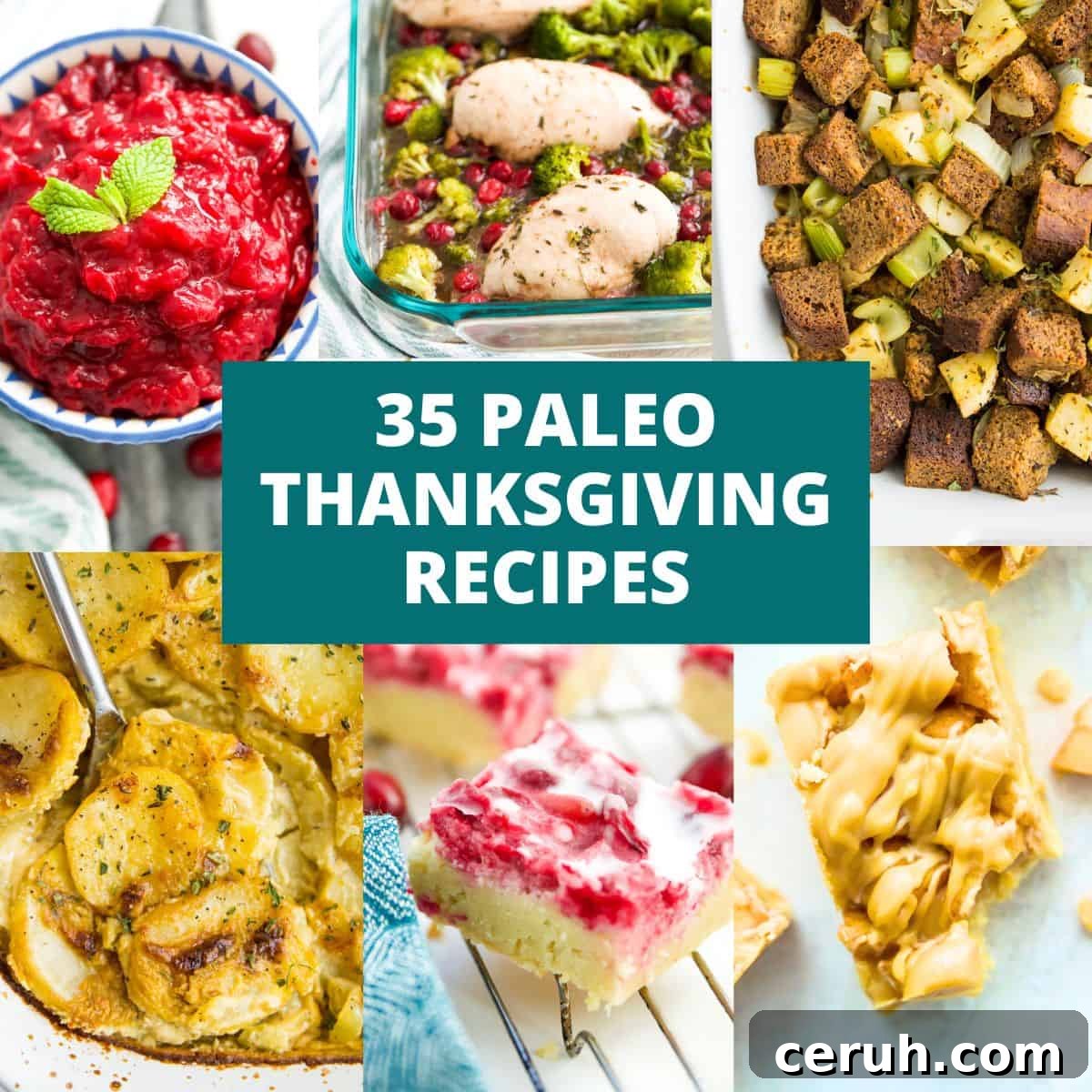 A collage of different Thanksgiving dishes including cranberry sauce, stuffing, apple pie bars, cranberry apple bars and scalloped potatoes.