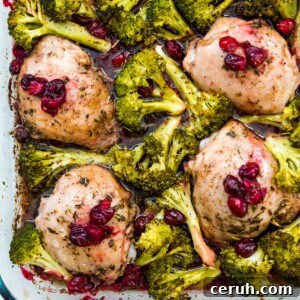 A pan filled with cooked chicken thighs surrounded by cooked broccoli and topped with cranberries.