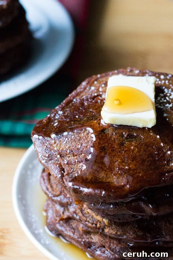 Filled with spices, super fluffy & perfectly moist - these easy Gingerbread Pancakes are the ultimate breakfast for the holidays!