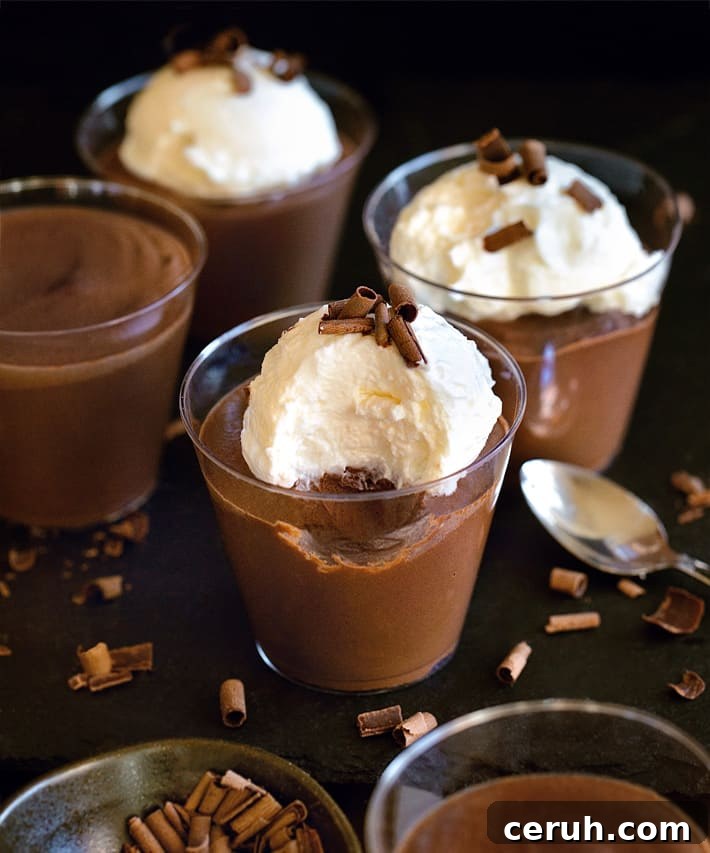 Low Calorie Healthy Chocolate Mousse (No Yogurt)