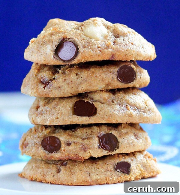 Healthy Chocolate Chip Cookies