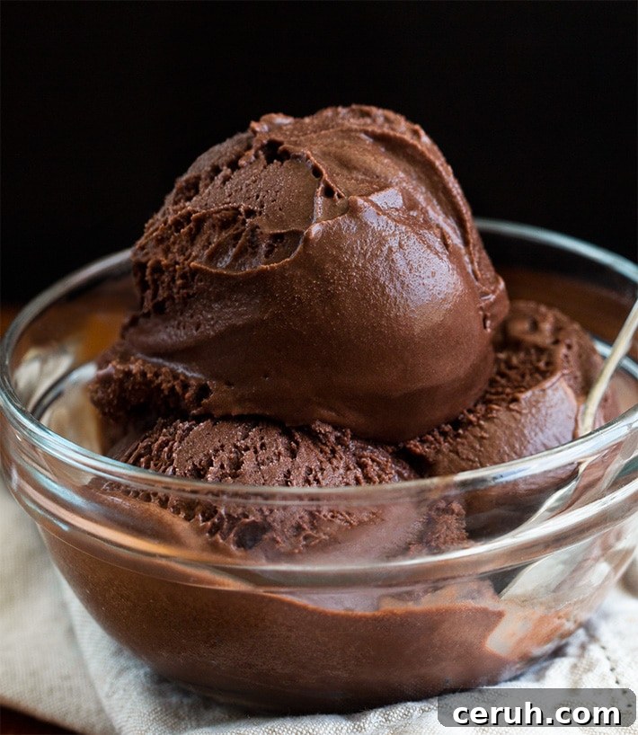 Homemade Chocolate Sorbet Recipe