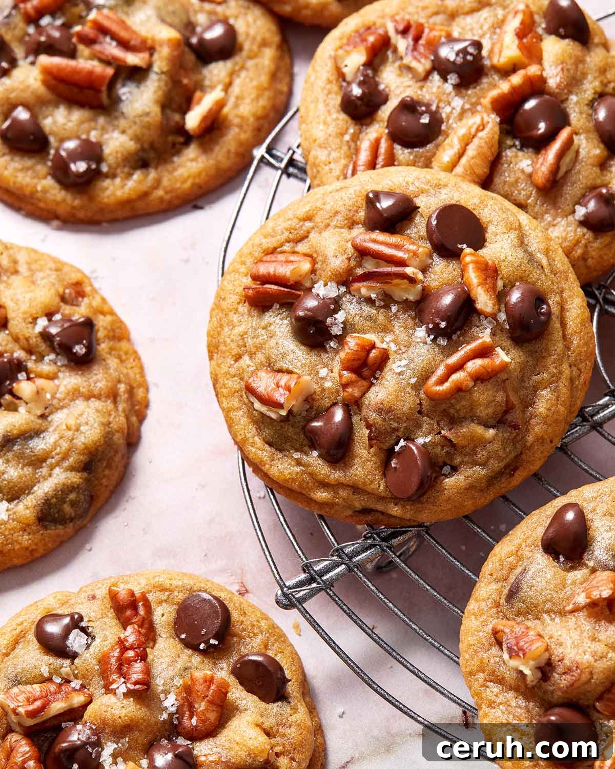 Chocolate Chip and Pecan Cookies — Chewy Oven-Baked Recipe 2 Close up of a cookie on a wire rack.